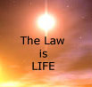 law of life
